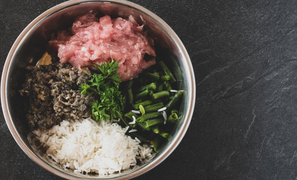 Feeding Your Dog a Raw Diet on a Budget: Ultimate Tips