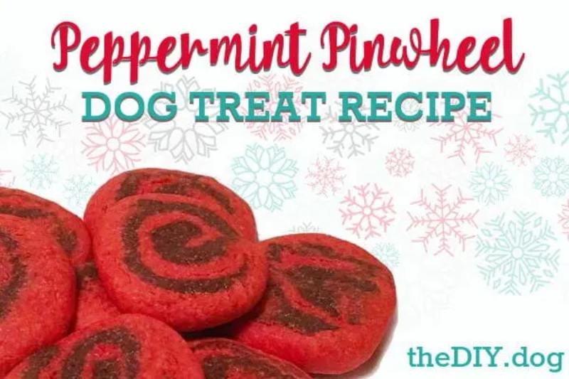PEPPERMINT PINWHEEL DOG TREAT RECIPE