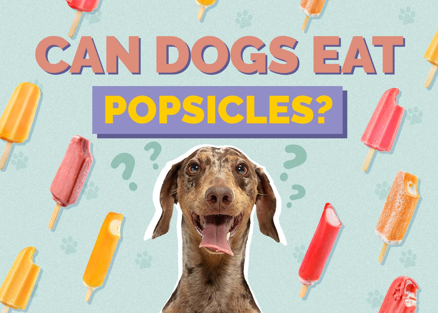 Can Dogs Eat Popsicles? Healthy Vet Approved Recipe Ideas