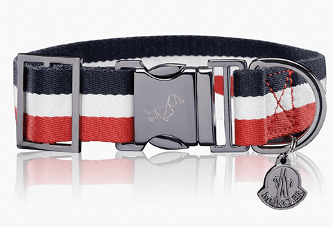 Nordstrom Moncler Poldo Collare Dog Collar