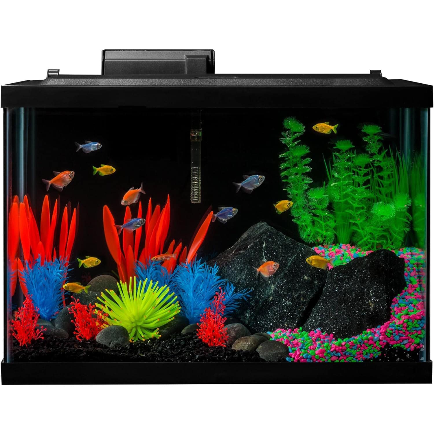GloFish 20 Gallon Aquarium Kit with LED Lights