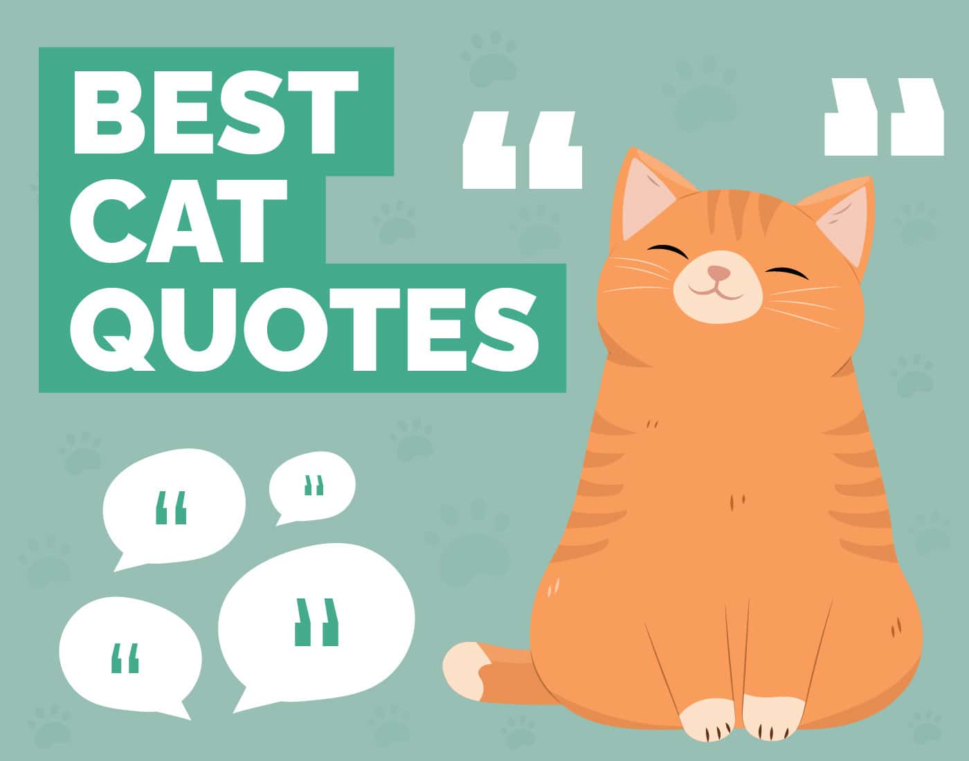 50 Best Cat Quotes: Cute, Famous, & Comical