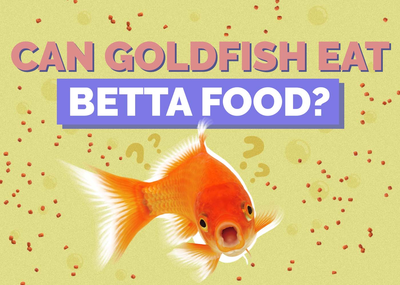 Can Goldfish Eat Betta Food? Vet-Approved Nutritional Science & Info!