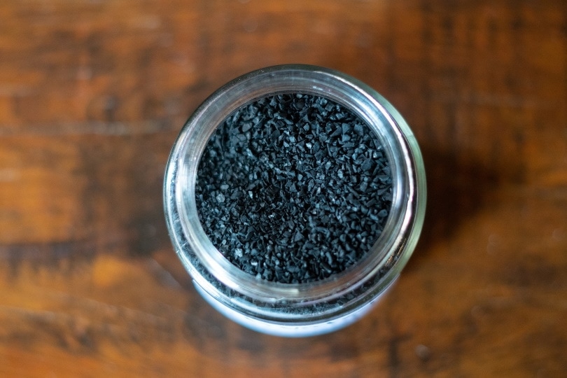 Activated Charcoal for Dogs: Vet Reviewed Info & Expert Tips