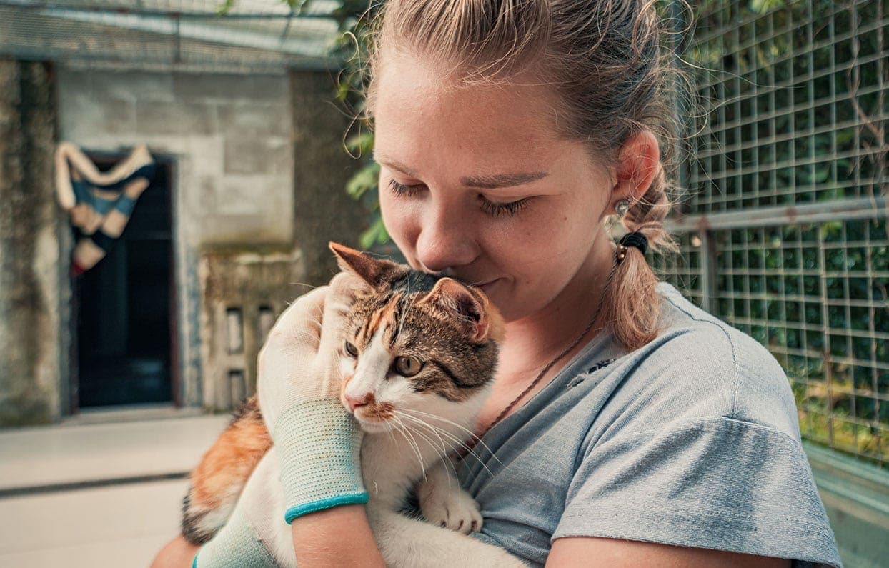 When Is Change a Pet’s Life Day 2026? How to Help & Facts