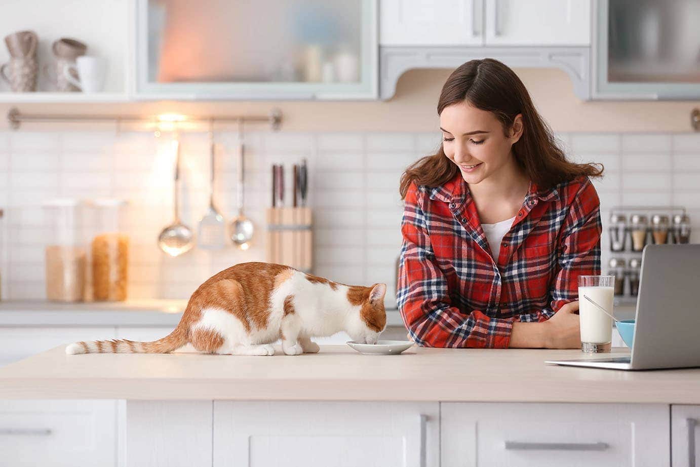 Why Teenagers Are Like Cats: 15 Striking Similarities