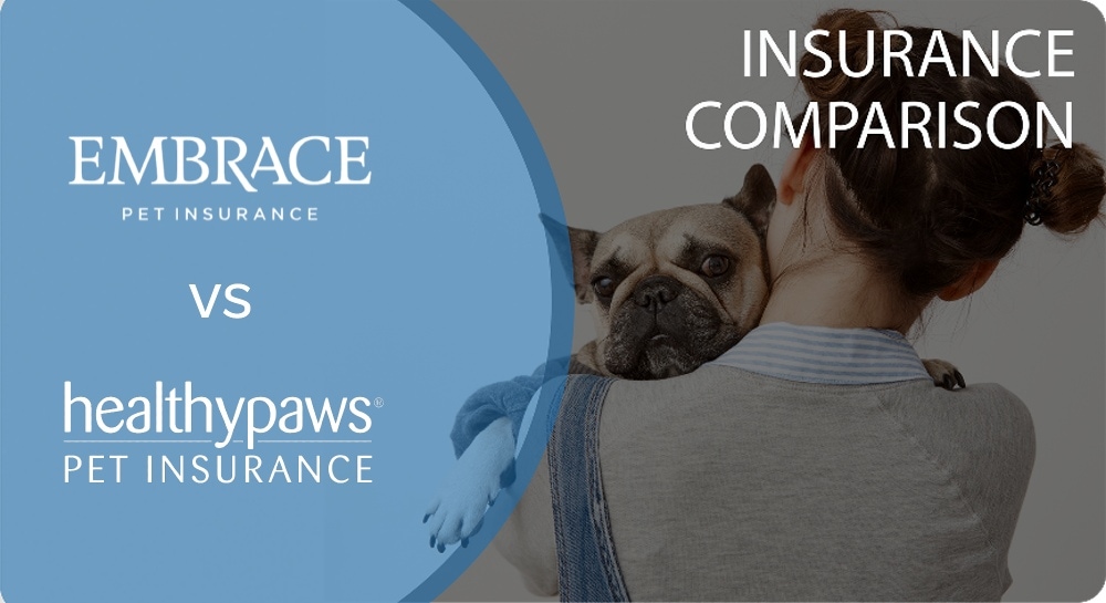 Embrace vs. Healthy Paws Pet Insurance Comparison 2026: Which One’s Best?