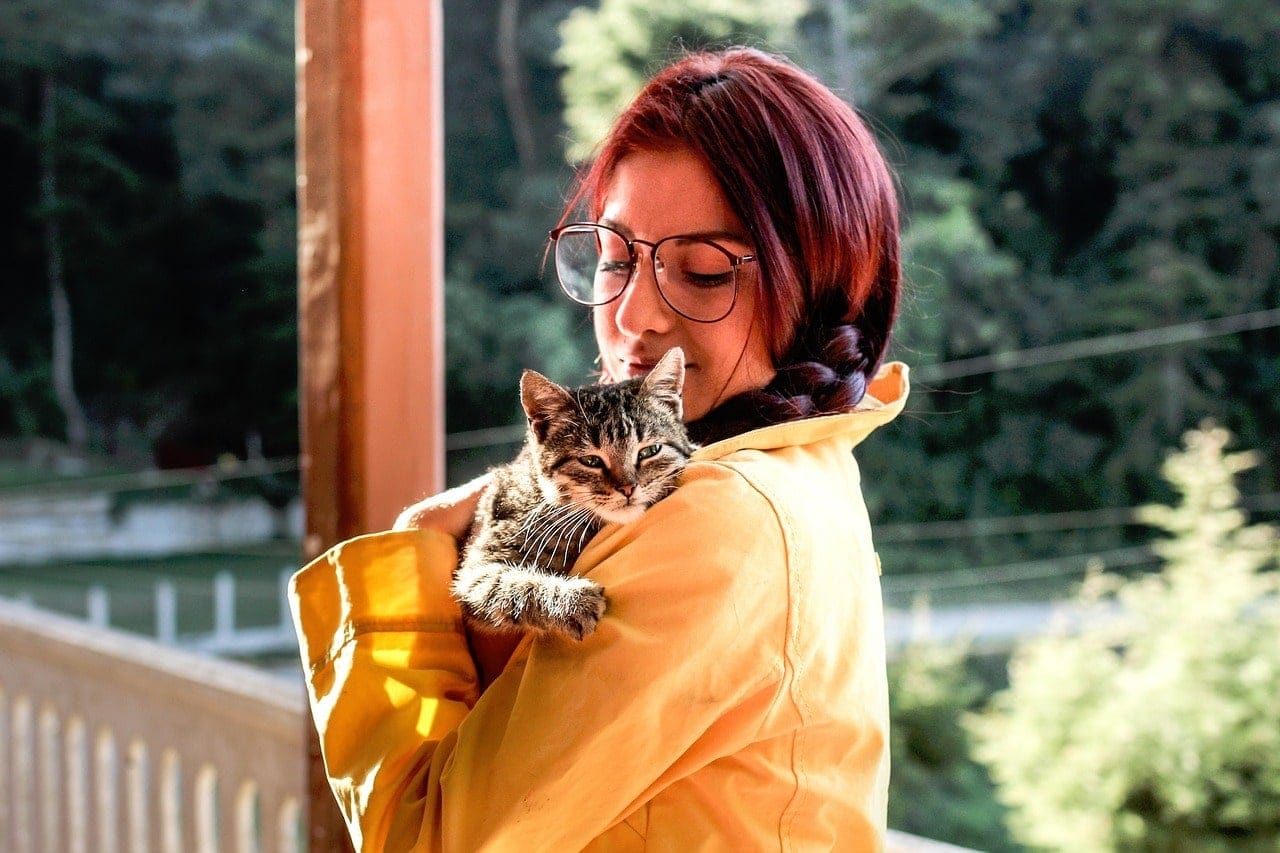 Why Is My Cat Suddenly Clingy? 8 Possible Reasons