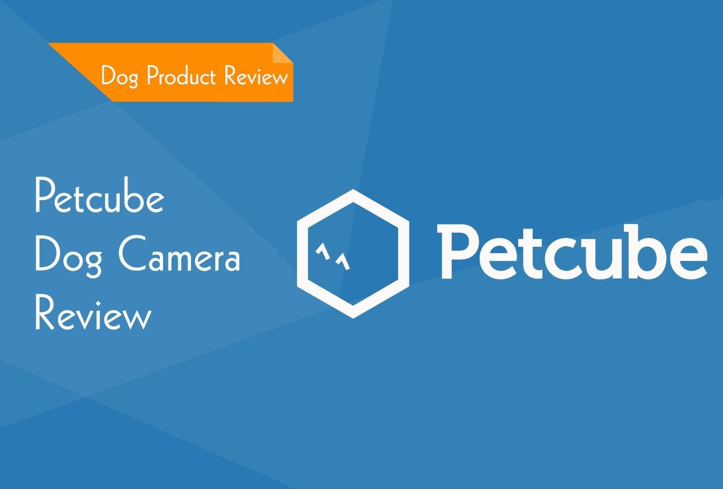 Petcube Bites 2 Pet Camera Review 2026 - Our Final Verdict