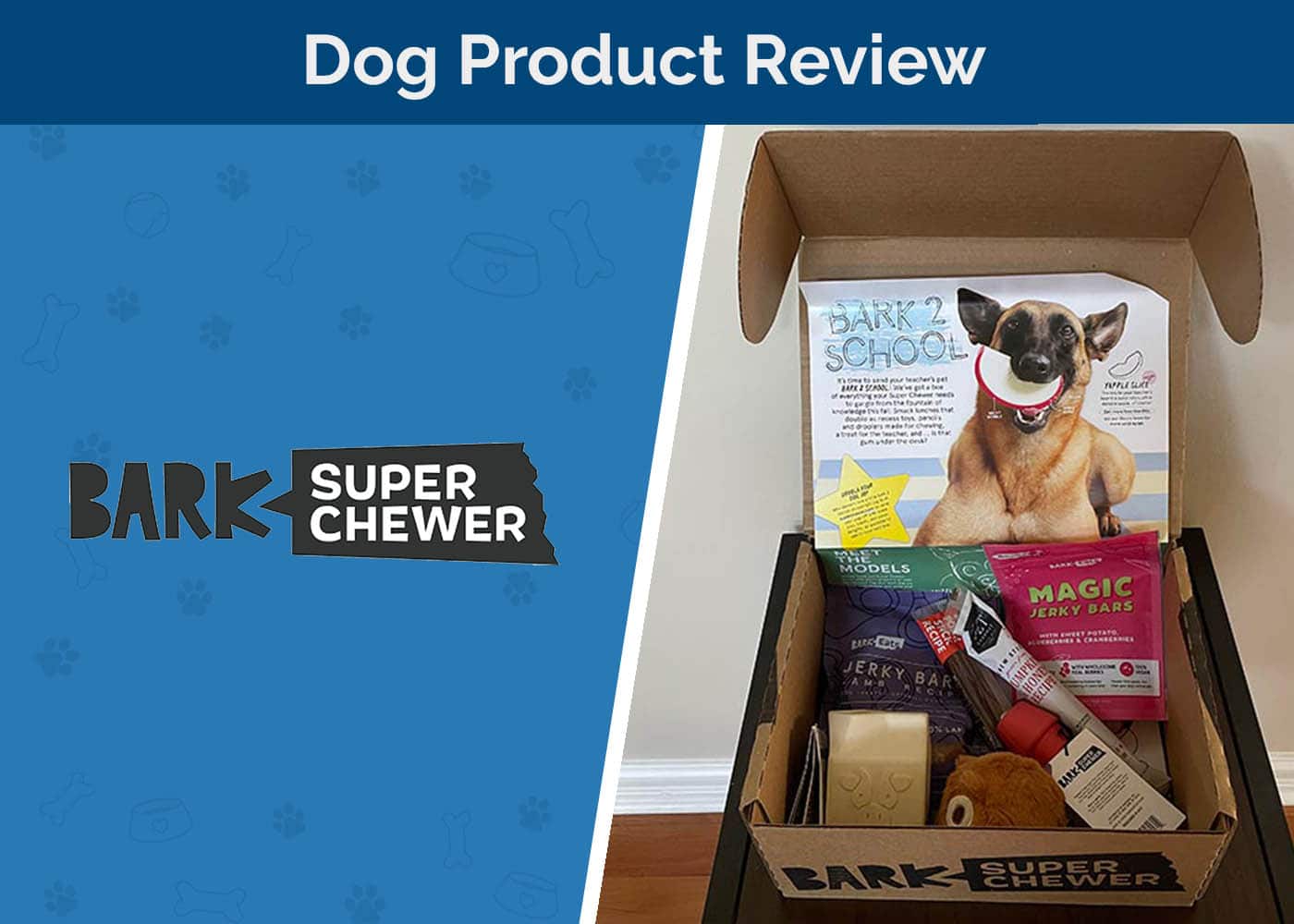 Super Chewer Dog Subscription Box by BARK Review 2026: An Expert Guide