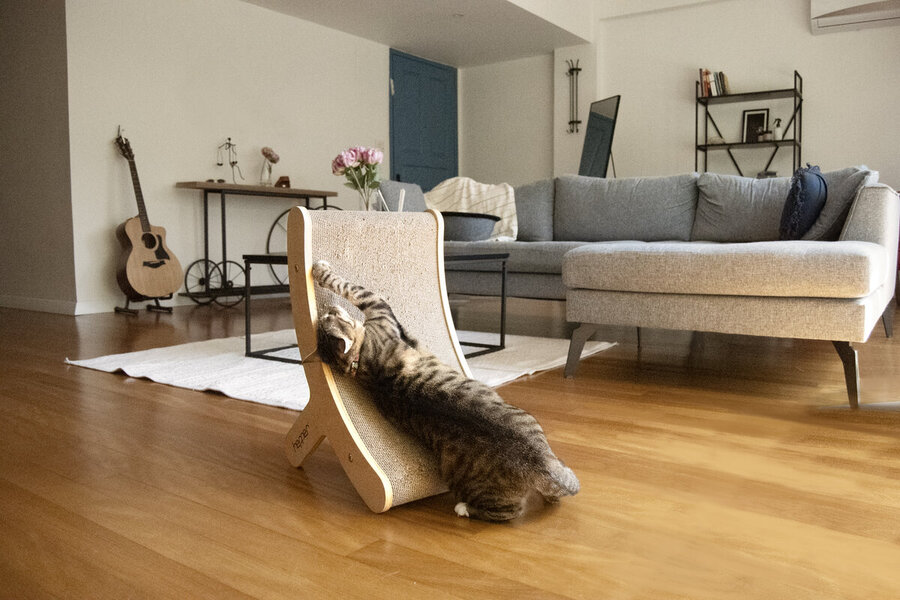 8 Best Cat Scratching Posts - 2026 Reviews & Top Picks