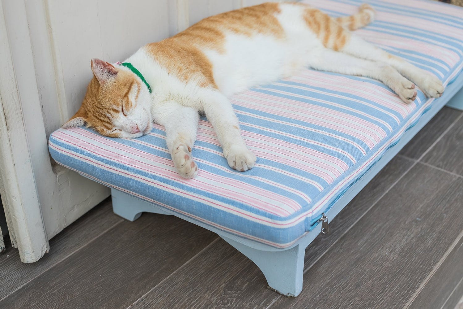 5 DIY Cat Cooling Pads You Can Build Today (With Pictures)