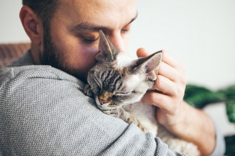 10 Signs Your Cat Trusts You & How To Bond With Them