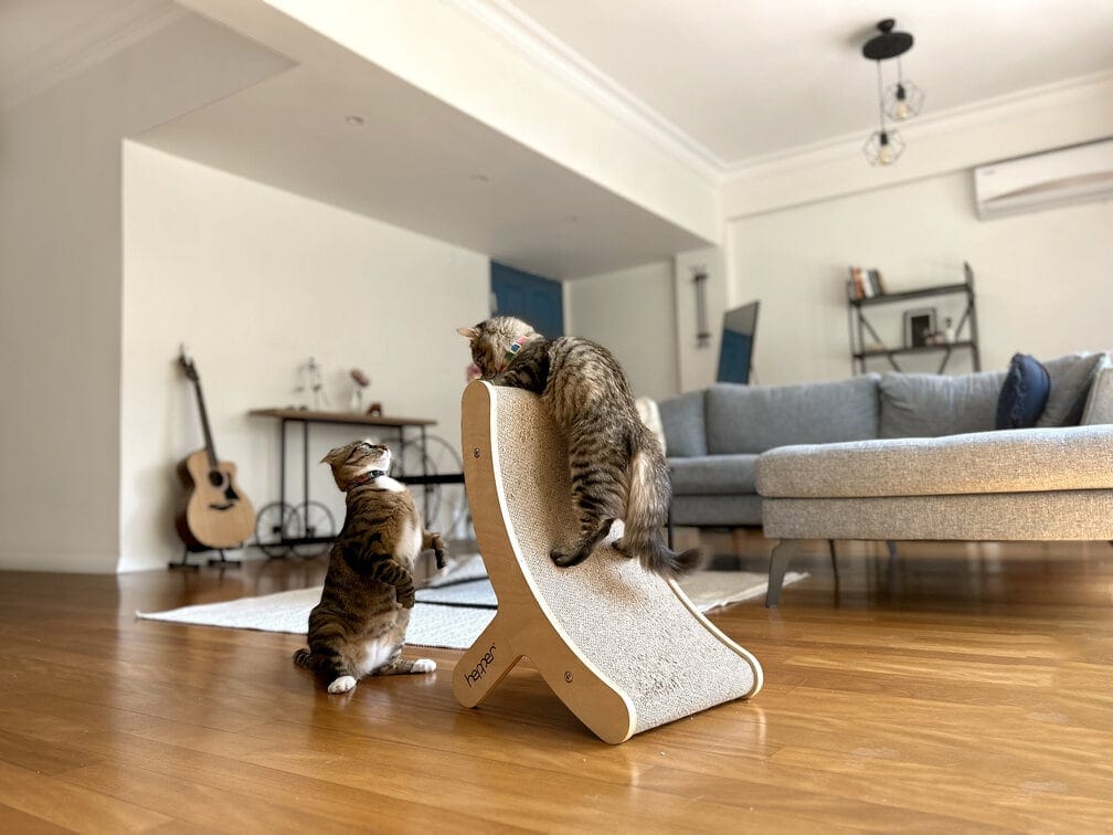 6 Best Modern Cat Scratcher Posts in 2026 - Reviews & Top Picks