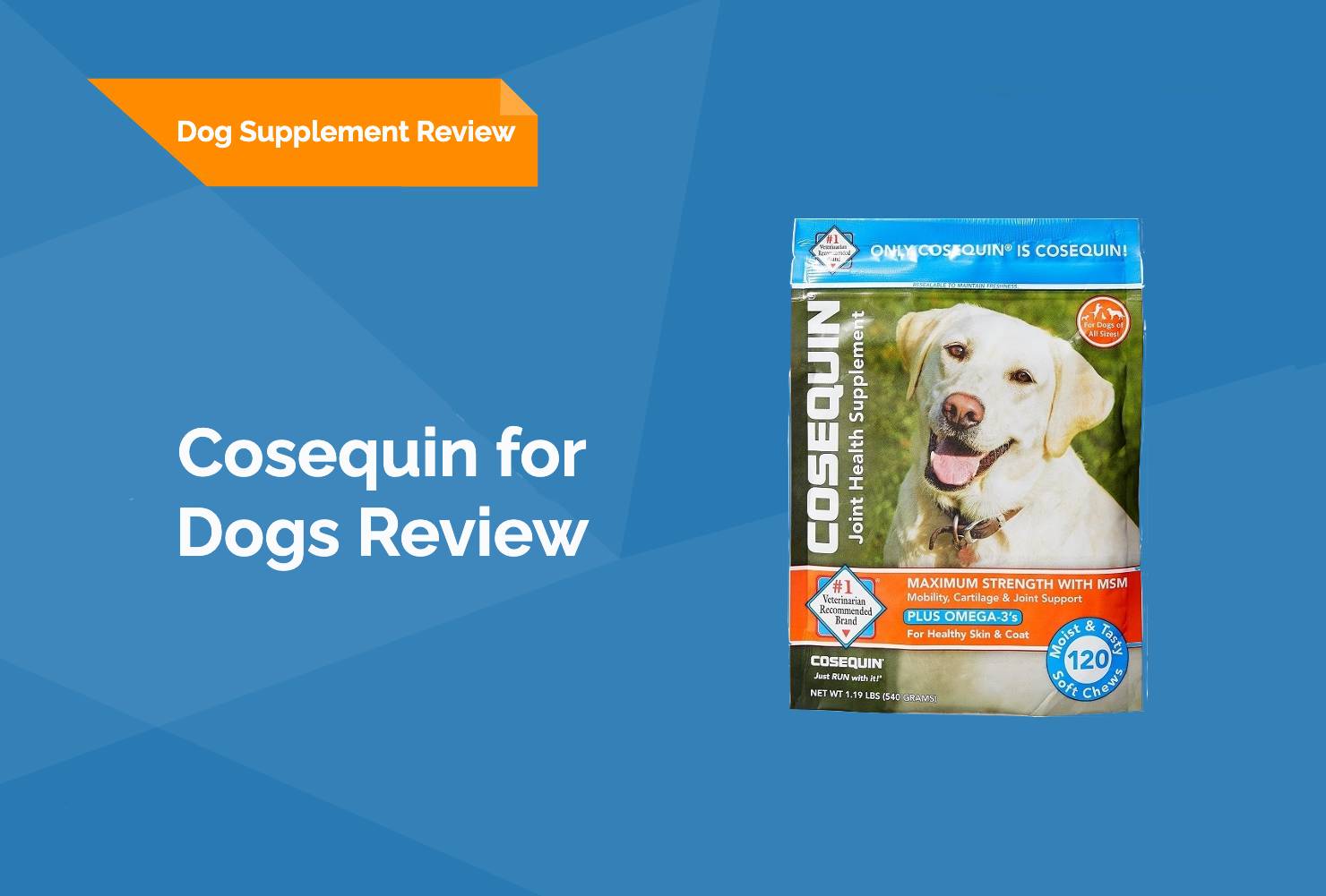 Cosequin for Dogs Review 2026 (Vet Review)