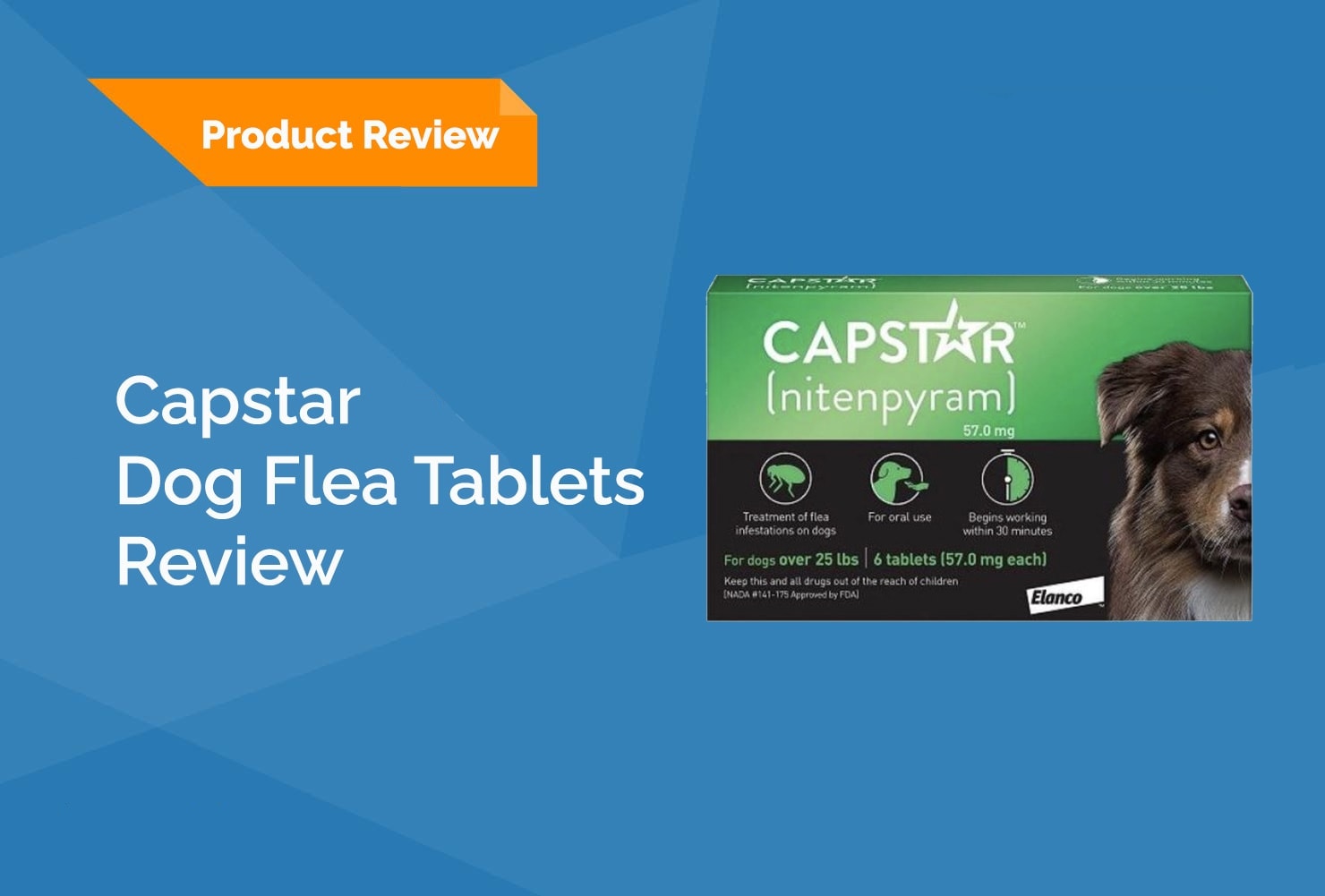 Ask a Vet: Capstar Flea Tablet Review 2026 - Pros, Cons & Verdict