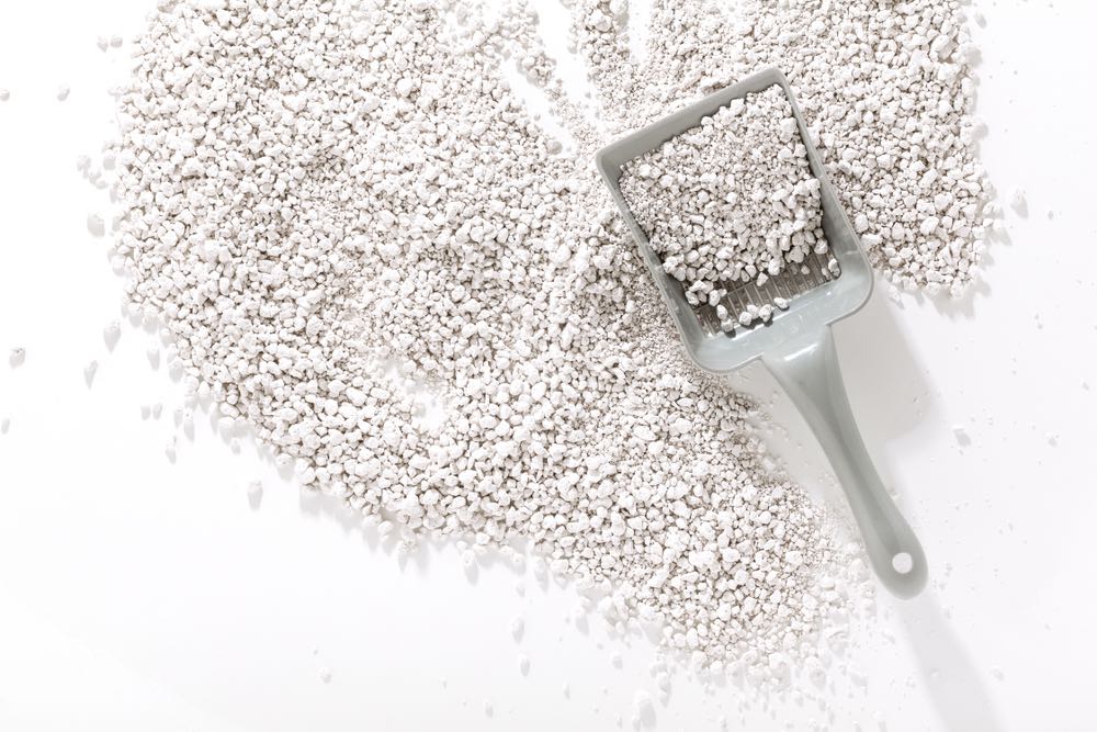 5 Best Cat Litter Scoops in 2026 - Reviews & Top Picks