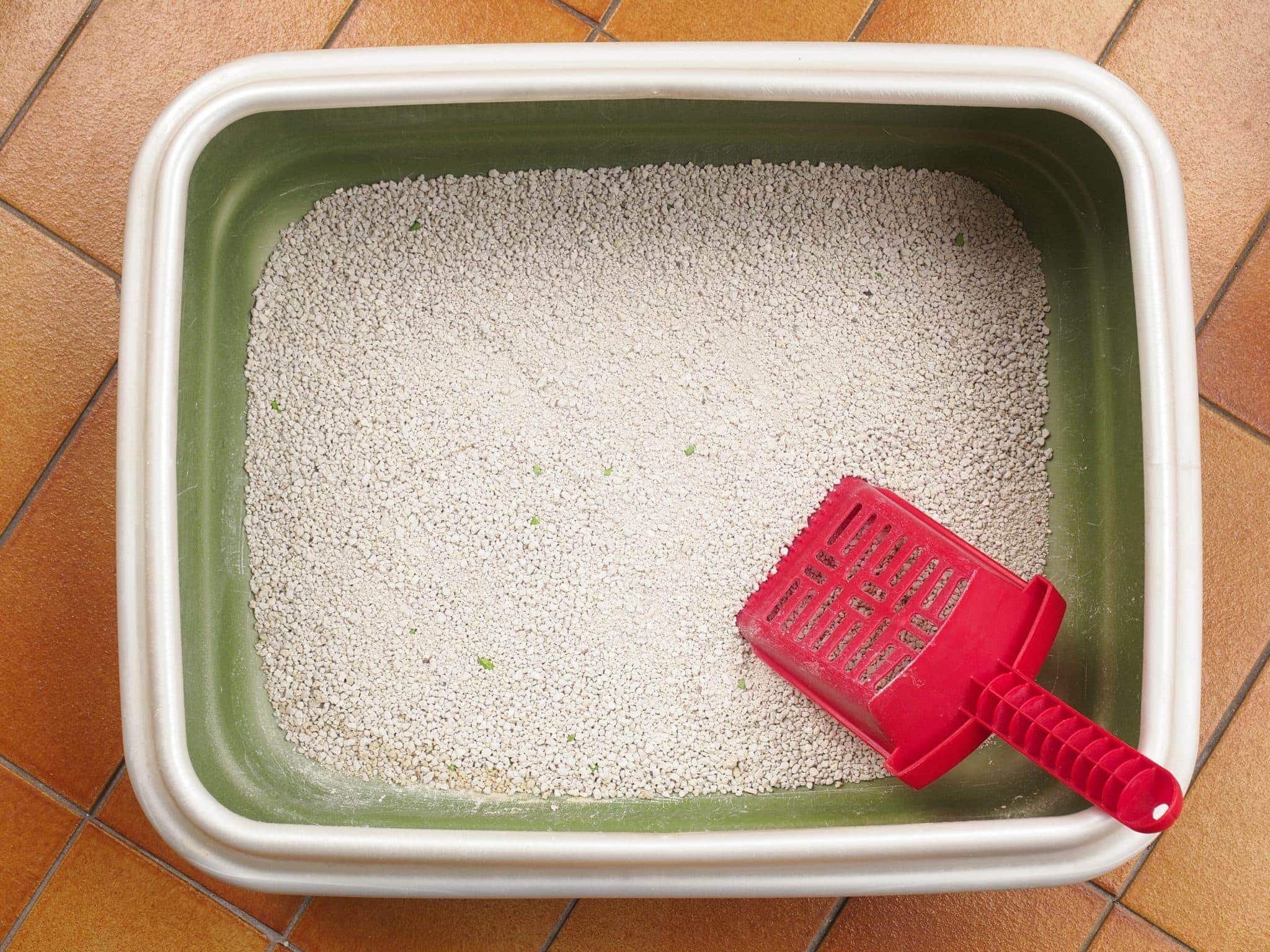 How to Keep Litter from Sticking to a Litter Box: Vet Approved Tips
