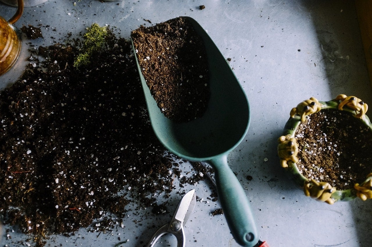 What Can I Use Instead Of Cat Litter? 10 Vet-Approved Alternatives
