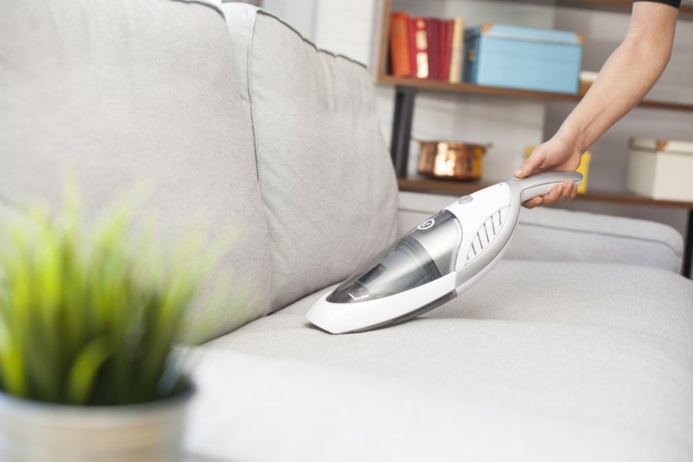 10 Best Hand Vacuums for Pet Hair - 2026 Reviews & Top Picks