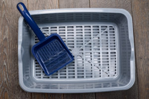 6 Best Sifting Litter Boxes – 2026 Reviews & Top Picks