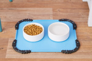 9 Best Cat Feeding Mats (For Food & Water) in 2026 – Reviews & Top Picks