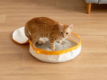 6 Best Portable Travel Litter Boxes - 2026 Reviews & Top Picks