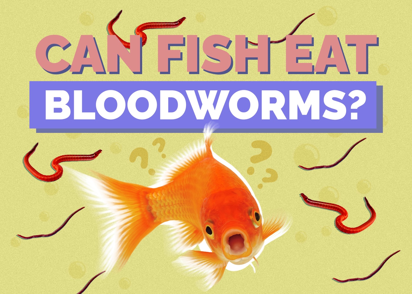 Can Goldfish Eat Bloodworms? Vet-Reviewed Nutrition Facts & Info You Need to Know!