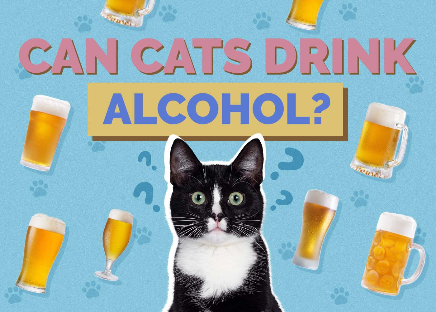 Can Cats Drink Alcohol? Vet-Reviewed Facts & Risks