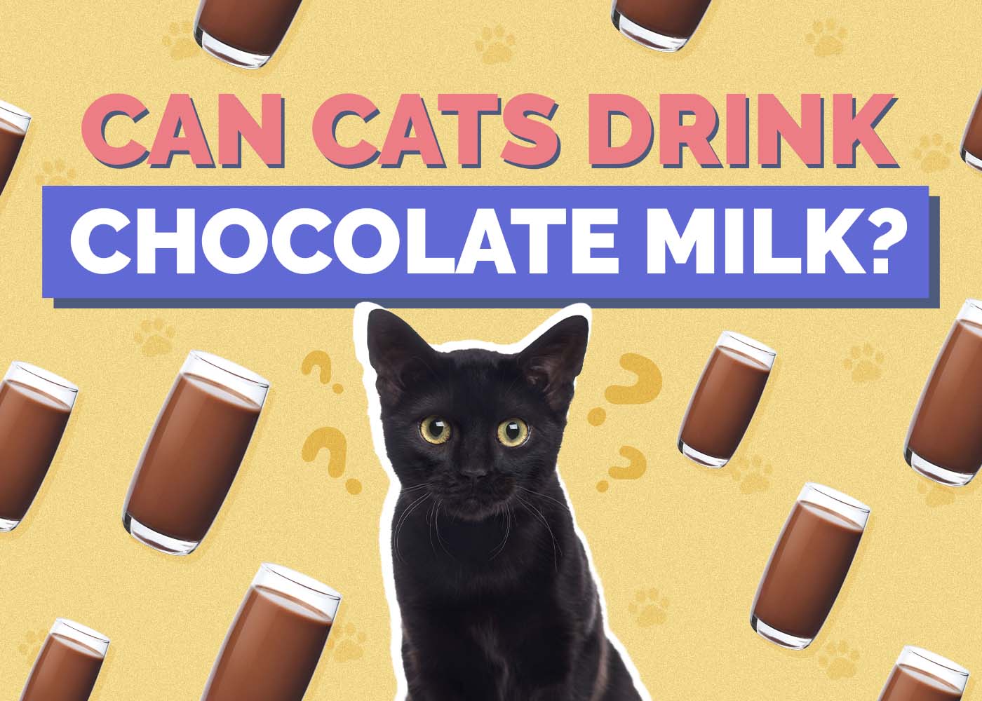Can Cats Drink Chocolate Milk? Vet-Reviewed Health Risks