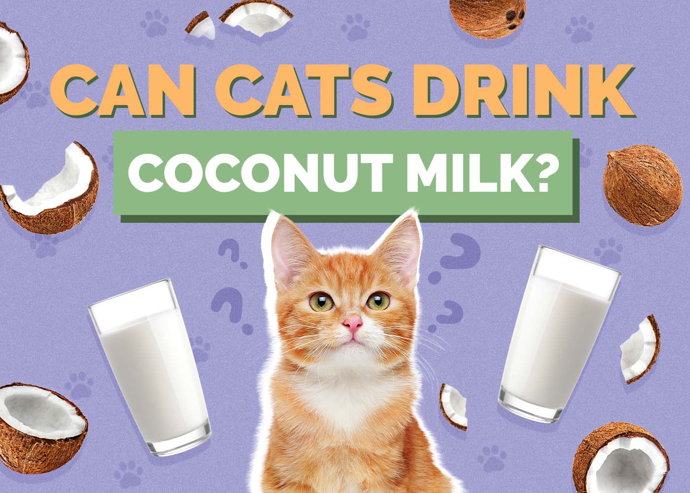 Can Cats Drink Coconut Milk? Vet Approved Facts & FAQs
