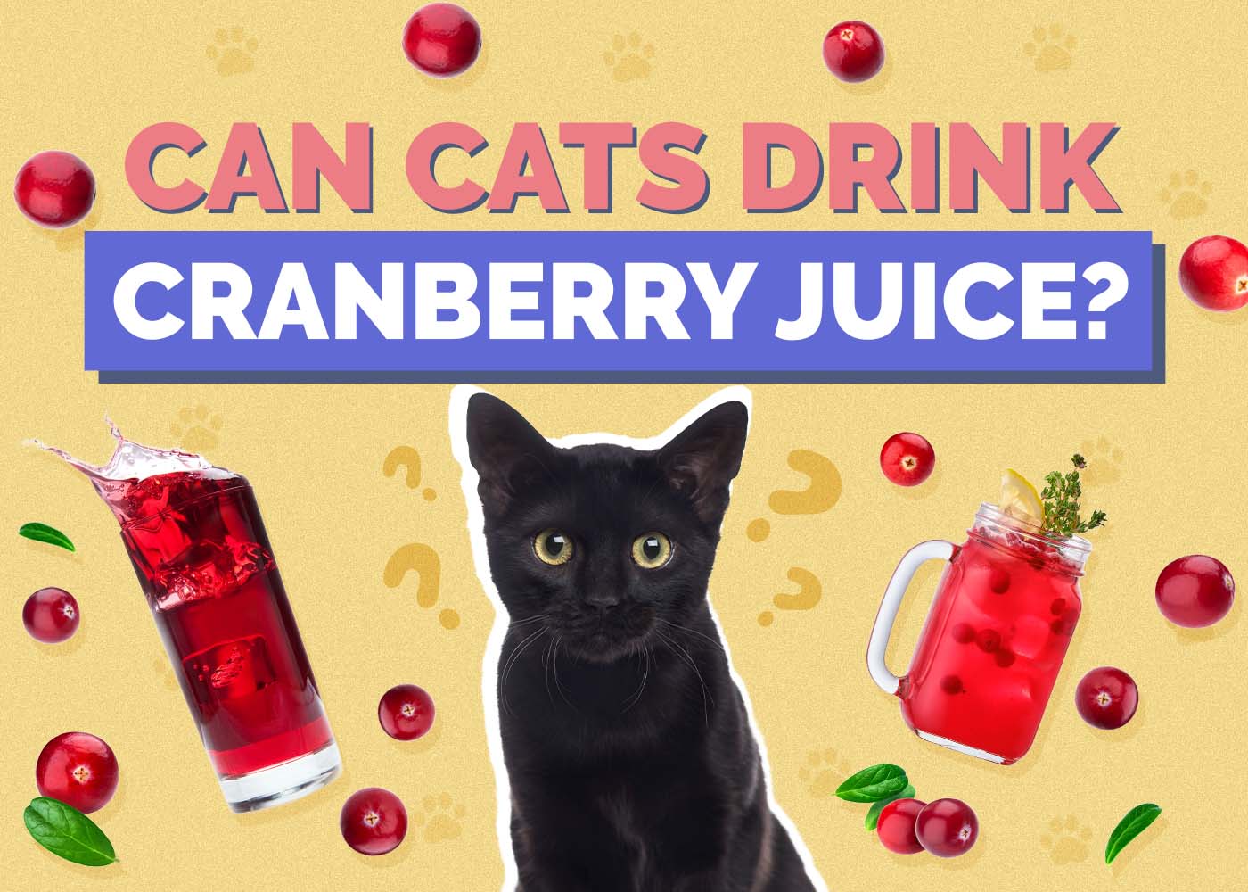 Can Cats Drink Cranberry Juice? Potential Health Benefits & FAQ (Vet Reviewed)