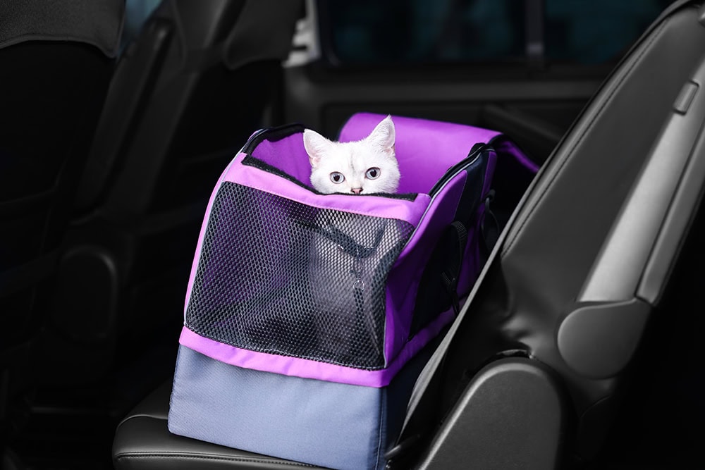 10 Best Cat Carriers for Long-Distance Travel in 2026 - Reviews & Top Picks