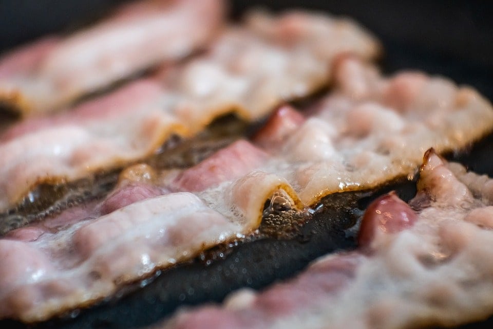 Can You Put Bacon Grease on Dog Food? What You Need to Know!