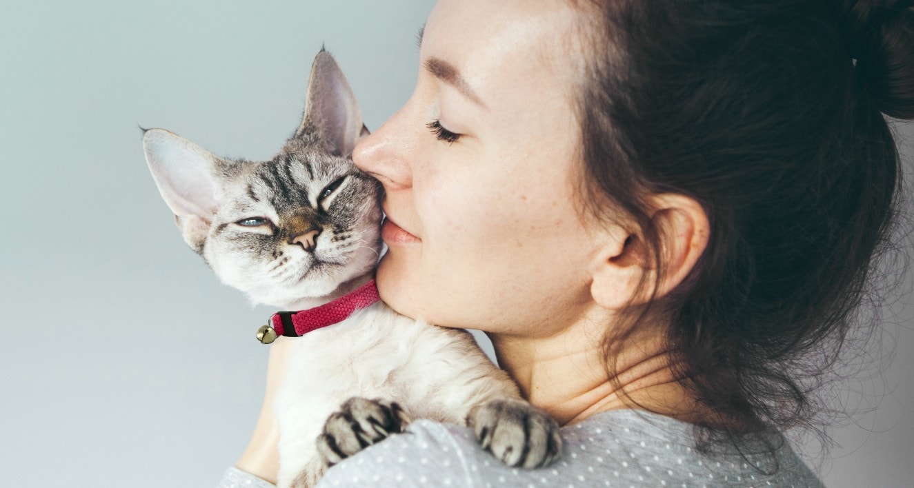 8 Best Cat Collars in 2026 - Reviews & Top Picks