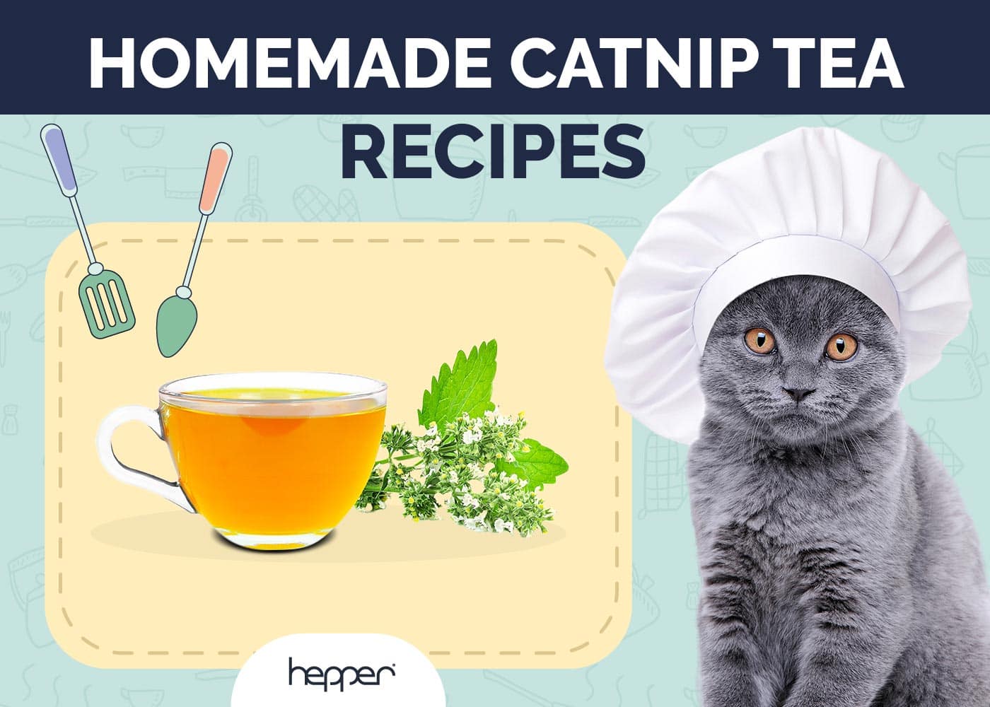 Homemade Catnip Tea Recipes for Cats