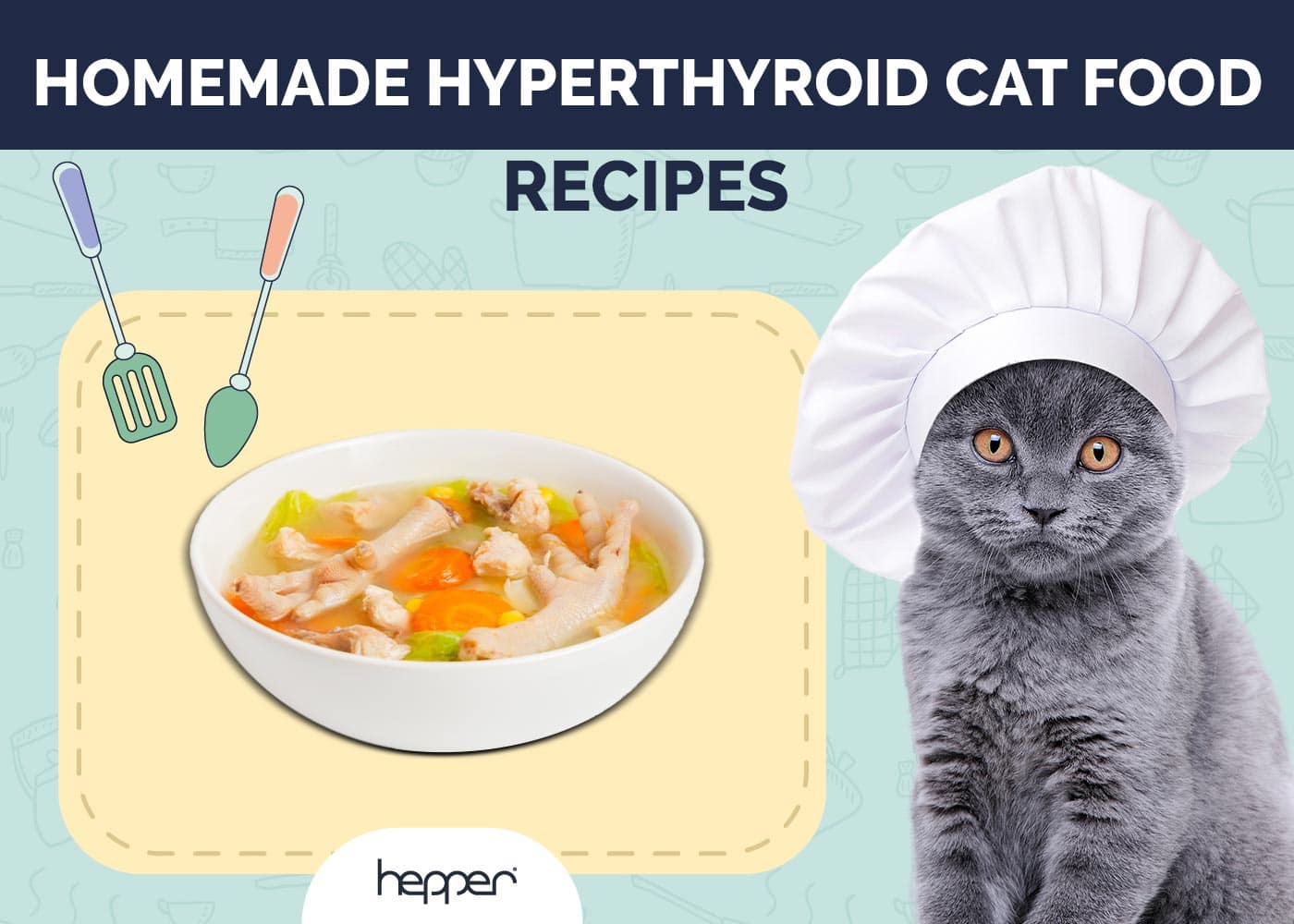 5 Homemade Hyperthyroid Cat Food Recipes (Vet Approved)