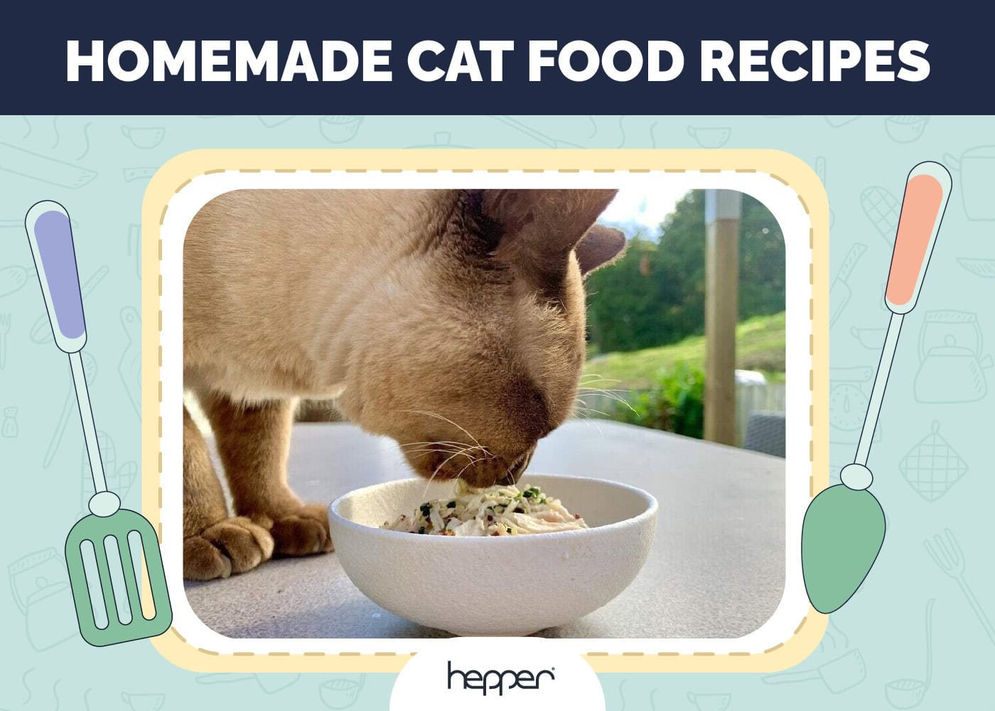 10 Vet-Approved Homemade Cat Food Recipes (Easy & Tasty)