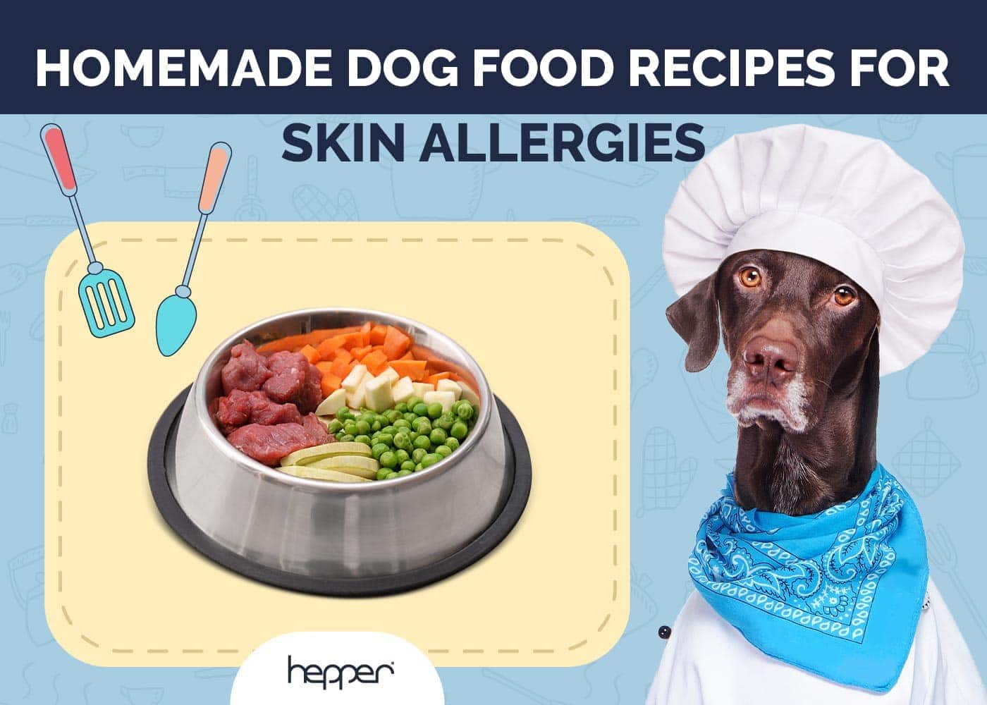 8 Homemade Dog Food Recipes for Skin Allergies (Vet-Approved)