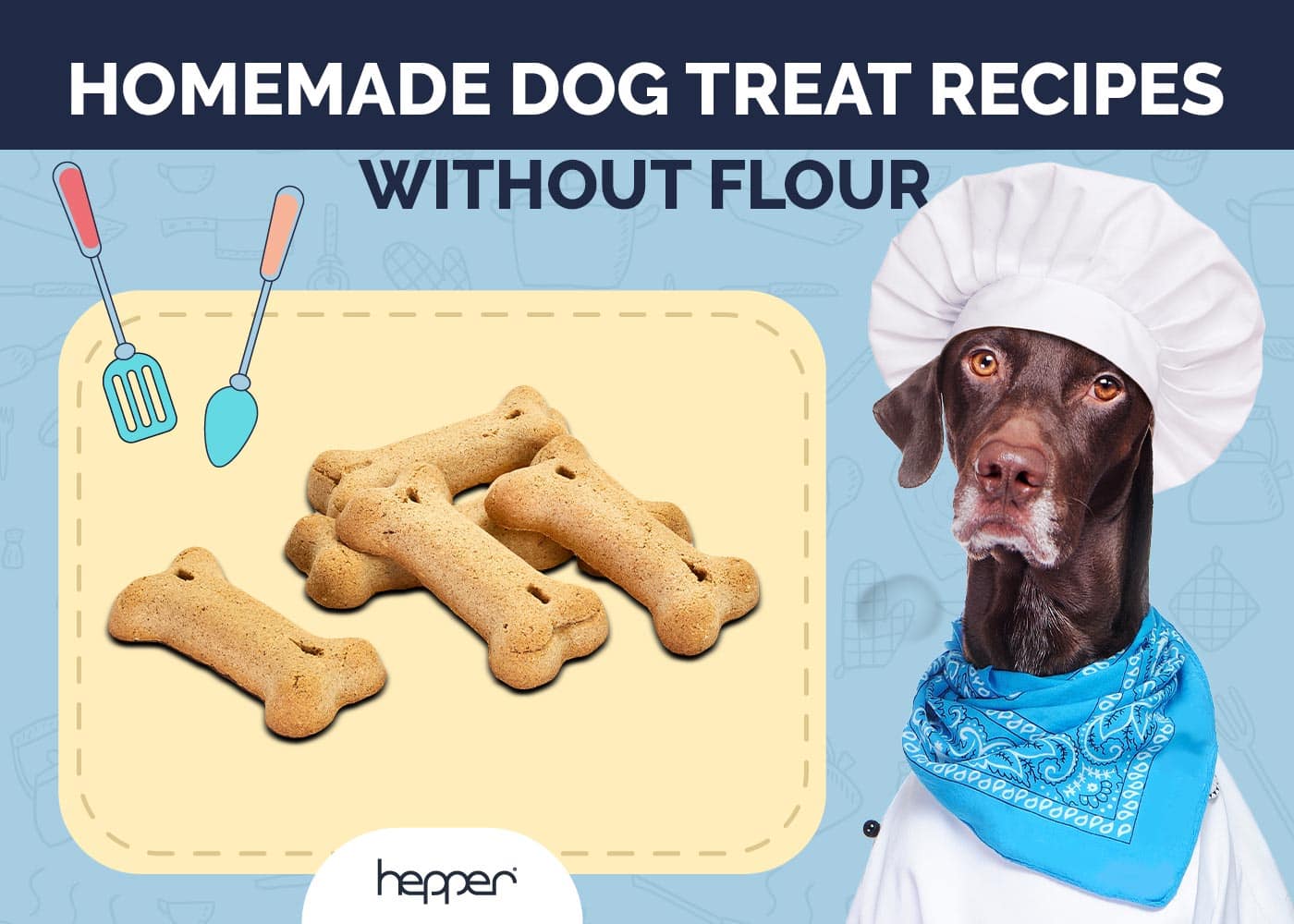 9 Homemade Dog Treat Recipes Without Flour