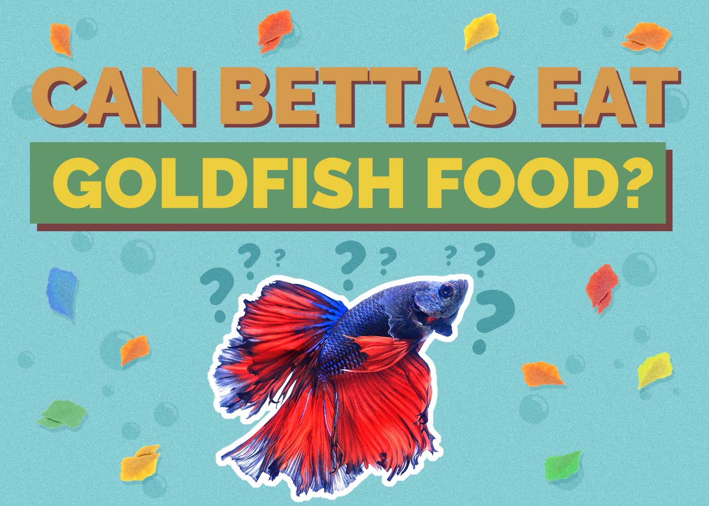 Can Bettas Eat Goldfish Food? Vet-Approved Science & Nutritional Info