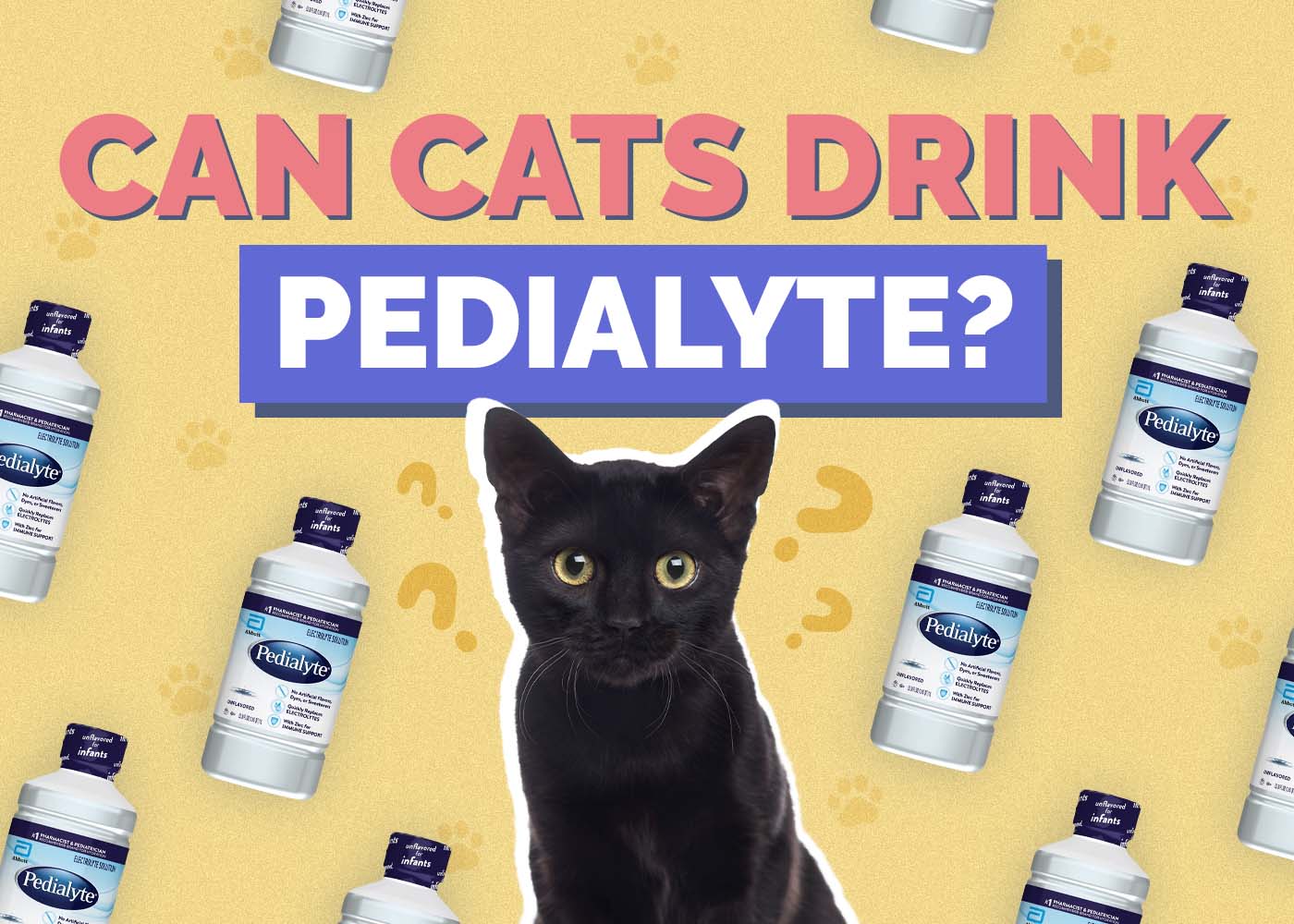 Can Cats Drink Pedialyte? Vet Approved Facts & FAQ