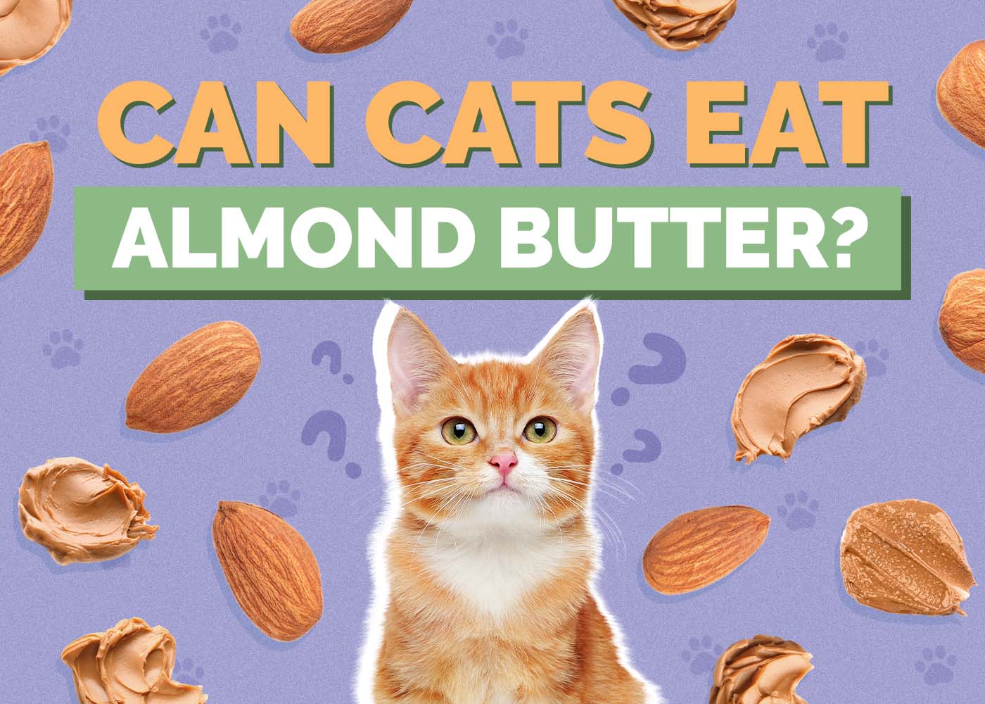 Can Cats Eat Almond Butter? Vet-Reviewed Facts & FAQ