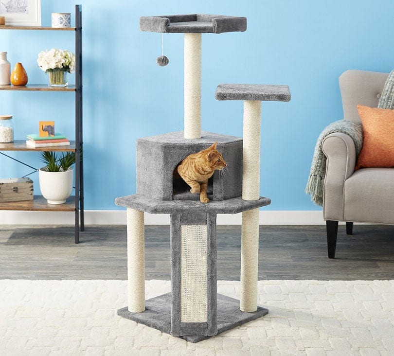 9 Best Budget Cat Trees – 2026 Reviews & Top Picks