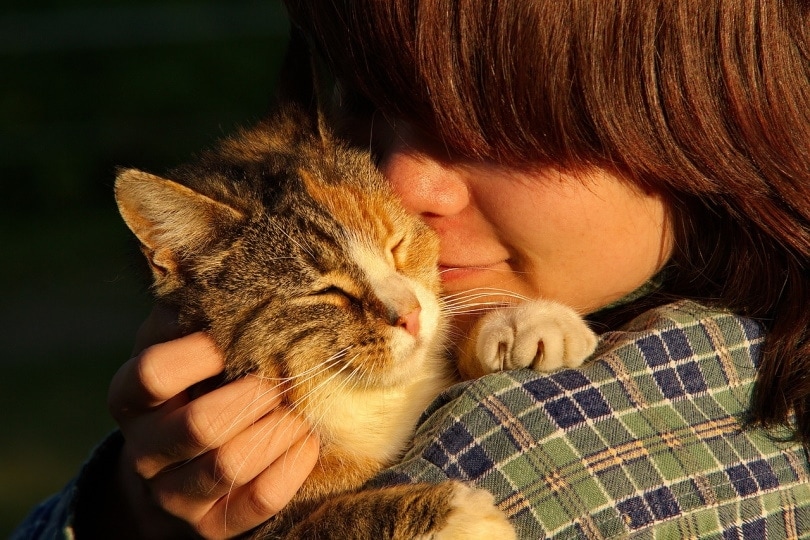 Do Cats Like to Be Kissed? Understanding Feline Affection