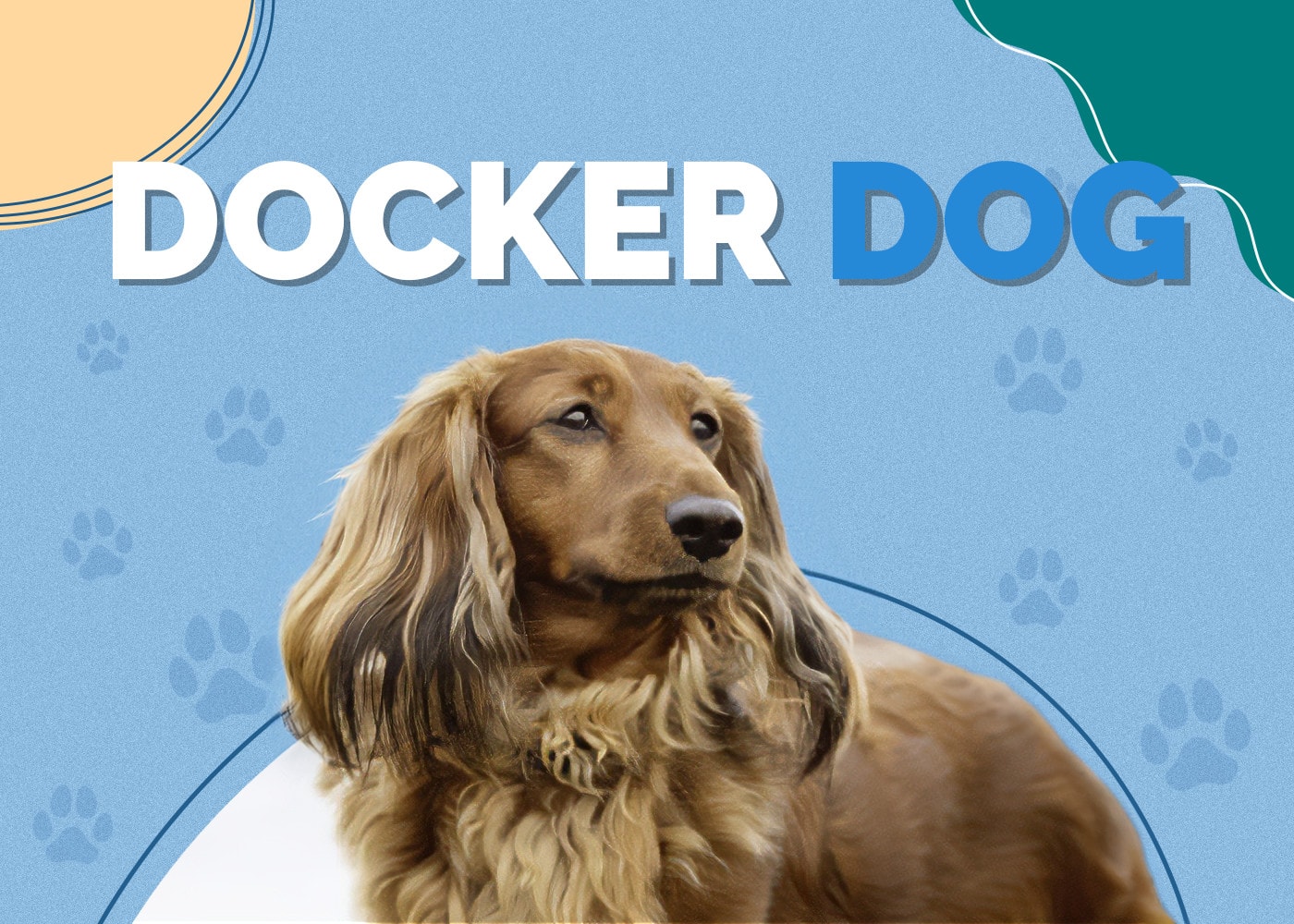 Docker Dog (Dachshund & Cocker Spaniel Mix) Info, Pictures & Facts