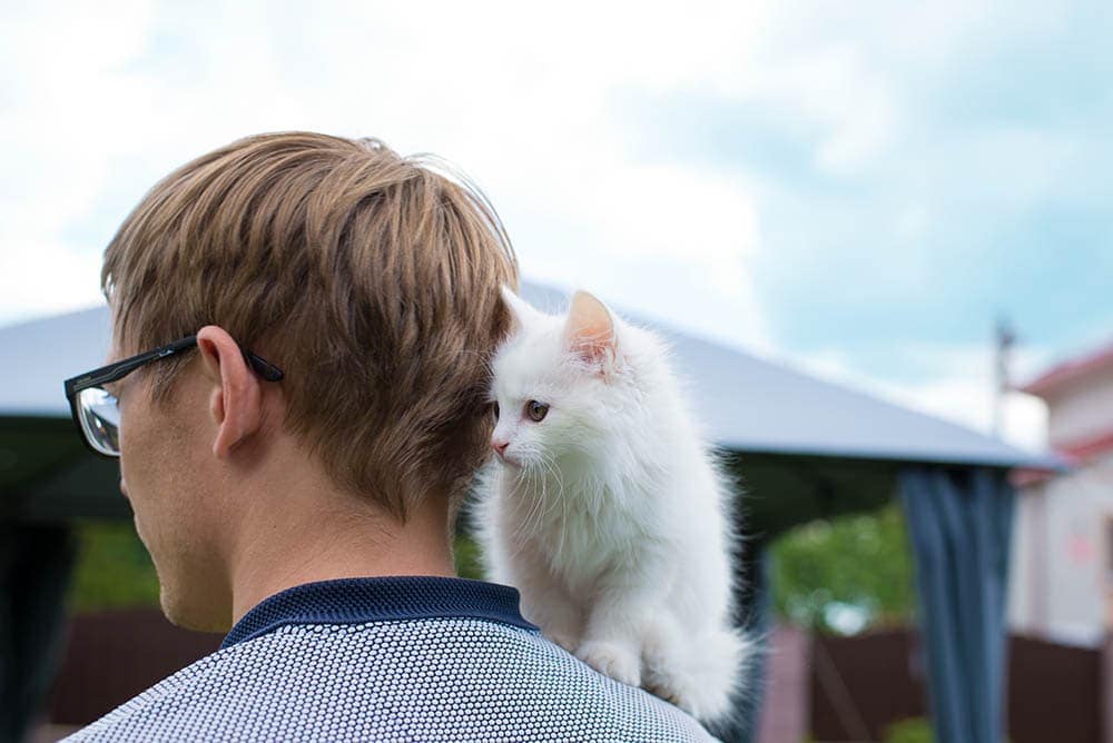 cat in man's shoulder