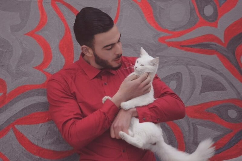National Cat Day 2026: When It Is & How to Participate