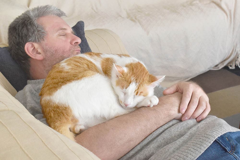 Why Do Cats Lie on Your Chest? 4 Possible Reasons