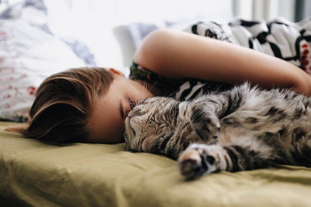 Do Cats Bleed When in Heat? Vet-Reviewed Feline Reproduction Facts & FAQs